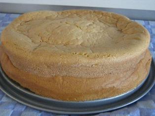 basic sponge cake recipe