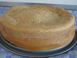  basic sponge cake recipe